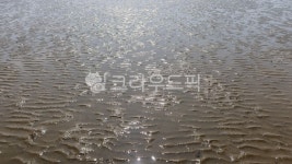 nature, 자연, 썰물, 갯벌, 뻘, 사진,이미지,일러스트,캘리그라피 - Nup0521작가 크라우드픽 - 저작권 걱정 없는 상업용 이미지