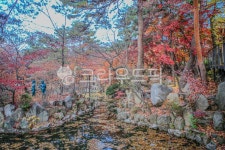 서울, 회기동, 대학교, 캠퍼스, 경희대, 사진,이미지,일러스트,캘리그라피 - imlover작가 크라우드픽 - 저작권 걱정 없는 상업용 이미지