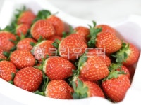 스트로베리, 빨간색, red, 잎, leaf, 사진,이미지,일러스트,캘리그라피 - miso1004작가 크라우드픽 - 저작권 걱정 없는 상업용 이미지