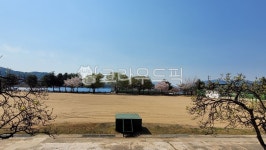 건물, outdoors, 옥외, 학교, 교단, 사진,이미지,일러스트,캘리그라피 - shkdra작가 크라우드픽 - 저작권 걱정 없는 상업용 이미지