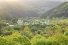 농촌, 향리, 시골, 정원, 식물, 사진,이미지,일러스트,캘리그라피 - Nepoto1작가 크라우드픽 - 저작권 걱정 없는 상업용 이미지