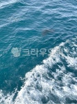 바다, water, 자연, sea, 물, 사진,이미지,일러스트,캘리그라피 - 이세니작가 크라우드픽 - 저작권 걱정 없는 상업용 이미지