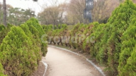 산책길, 꽃피는거리, 들꽃모음, 풍경, 공원, 사진,이미지,일러스트,캘리그라피 - 그림쟁이 VLOG작가 크라우드픽 - 저작권 걱정 없는 상업용 이미지