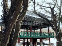 풍경, 정자, 겨울, 월파정, 섬진강, 사진,이미지,일러스트,캘리그라피 - 도박하지말자작가 크라우드픽 - 저작권 걱정 없는 상업용 이미지