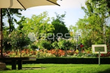 순천만국가정원1호, 테마공원, 자연생태공원, 자연, 옥외, 사진,이미지,일러스트,캘리그라피 - pandora4077작가 크라우드픽 - 저작권 걱정... 