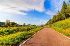 자연, 풍경, 구름, 산책, 가을, 사진,이미지,일러스트,캘리그라피 - MemoryPage작가 크라우드픽 - 저작권 걱정 없는 상업용 이미지