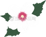 무궁화, mugunghwa, 국화, 대한민국, korea, 사진,이미지,일러스트,캘리그라피 - kimlo220작가 크라우드픽 - 저작권 걱정 없는 상업용 이미지