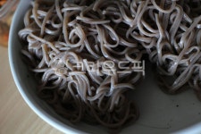 모밀, 음식, 모밀국수, 국수, food, 사진,이미지,일러스트,캘리그라피 - joyfulharu작가 크라우드픽 - 저작권 걱정 없는 상업용 이미지