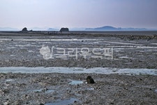 누에섬, 탄도항, 바닷길, 뻘, 썰물, 사진,이미지,일러스트,캘리그라피 - Deep bLUE작가 크라우드픽 - 저작권 걱정 없는 상업용 이미지