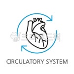 심장, 의료, 내과, 내부의, 정맥, 사진,이미지,일러스트,캘리그라피 - 큐브치즈작가 크라우드픽 - 저작권 걱정 없는 상업용 이미지