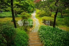 공원, 숲, 옥외, 자연, 나무, 사진,이미지,일러스트,캘리그라피 - imlover작가 크라우드픽 - 저작권 걱정 없는 상업용 이미지
