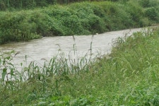 풀, 강가, 초록, 황톳물, 비오는날, 사진,이미지,일러스트,캘리그라피 - 산너머저쪽작가 크라우드픽 - 저작권 걱정 없는 상업용 이미지