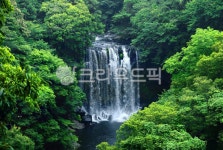 제주도, 천제연폭포, nature, 자연, 옥외, 사진,이미지,일러스트,캘리그라피 - ju999작가 크라우드픽 - 저작권 걱정 없는 상업용 이미지