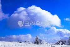 Foto aus Naver-Suchergebnissen 5
