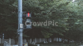 light, 빛, 감성, 횡단보도, 신호등, 사진,이미지,일러스트,캘리그라피 - Ngusdlr2327작가 크라우드픽 - 저작권 걱정 없는 상업용 이미지