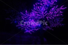 야경, 불빛, 풍경, 별빛, 가평, 사진,이미지,일러스트,캘리그라피 - Rulppy작가 크라우드픽 - 저작권 걱정 없는 상업용 이미지