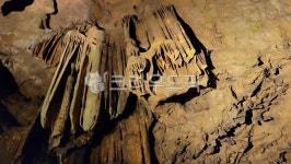 cave, 동굴, nature, 자연, 성류굴, 사진,이미지,일러스트,캘리그라피 - East Na작가 크라우드픽 - 저작권 걱정 없는 상업용 이미지