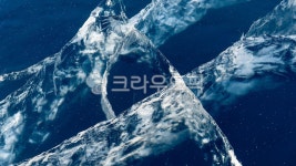 얼음, 봉우리, 몽골, 홉스굴, 겨울, 사진,이미지,일러스트,캘리그라피 - sngj작가 크라우드픽 - 저작권 걱정 없는 상업용 이미지