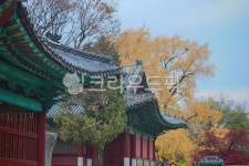 서울, 명륜동, 성균관, 유림회관, 건축물, 사진,이미지,일러스트,캘리그라피 - imlover작가 크라우드픽 - 저작권 걱정 없는 상업용 이미지