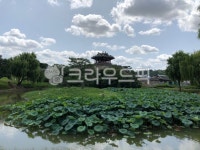 수원, 방화수류정, 수원화성, 자연, 행궁동, 사진,이미지,일러스트,캘리그라피 - Nqskyp21q작가 크라우드픽 - 저작권 걱정 없는 상업용 이미지