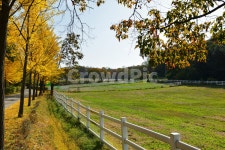 초원, 종마목장, 목장, 말목장, 펜스, 사진,이미지,일러스트,캘리그라피 - 운강작가 크라우드픽 - 저작권 걱정 없는 상업용 이미지