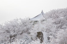 1100로휴게소농수산직판점 | 자연, 얼음, 설경, 1100휴게소, 1100도로, 사진,이미지,일러스트,캘리그라피 - Ncar3876작가 크라우드픽 - 저작권 걱정 없는 상업용 이미지