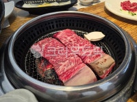 생고기, 정육점, 신선한고기, 요리재료, 식재료, 사진,이미지,일러스트,캘리그라피 - 가지가지아작가 크라우드픽 - 저작권 걱정 없는 상업용 이미지
