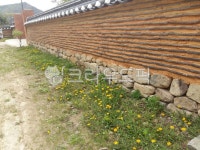 담장, 봄, 민들레, 옛기와담장, 황토담, 사진,이미지,일러스트,캘리그라피 - qkdiqk3작가 크라우드픽 - 저작권 걱정 없는 상업용 이미지