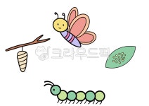 애벌레, 번데기, 나비, 성장과정, 생태, 사진,이미지,일러스트,캘리그라피 - goun3250작가 크라우드픽 - 저작권 걱정 없는 상업용 이미지