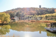 북서울꿈의숲, 숲, 공원, 전망대, 건물, 사진,이미지,일러스트,캘리그라피 - imlover작가 크라우드픽 - 저작권 걱정 없는 상업용 이미지