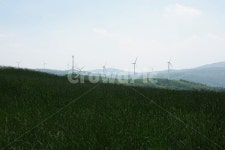 목장, 파란들, 풍경, 초록, 경치, 사진,이미지,일러스트,캘리그라피 - 아라리작가 크라우드픽 - 저작권 걱정 없는 상업용 이미지