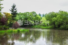 풍경, 식물, 경안천생태공원, 광주, 광주경안천, 사진,이미지,일러스트,캘리그라피 - 포타도작가 크라우드픽 - 저작권 걱정 없는 상업용 이미지