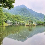 호수, 호수풍경, 연못, 연못풍경, 장성, 사진,이미지,일러스트,캘리그라피 - 소중한 인연작가 크라우드픽 - 저작권 걱정 없는 상업용 이미지