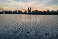 미국, 뉴욕, 센트럴파크, 저녁, 해질녘, 사진,이미지,일러스트,캘리그라피 - TedinNewyork작가 크라우드픽 - 저작권 걱정 없는 상업용 이미지