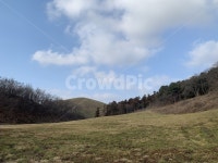 자연, 언덕, 목장, 풀, 나무, 사진,이미지,일러스트,캘리그라피 - CHIM작가 크라우드픽 - 저작권 걱정 없는 상업용 이미지
