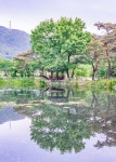 outdoors, nature, land, 밀양, 위양못, 사진,이미지,일러스트,캘리그라피 - nobakuchris작가 크라우드픽 - 저작권 걱정 없는 상업용 이미지