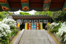 아랑각, 아랑사, 밀양, 영남루, 사당, 사진,이미지,일러스트,캘리그라피 - 키르케작가 크라우드픽 - 저작권 걱정 없는 상업용 이미지