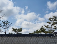 하늘, 소나무, 담장, 자연, sky, 사진,이미지,일러스트,캘리그라피 - 뽀또링작가 크라우드픽 - 저작권 걱정 없는 상업용 이미지