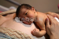 신생아, 캥거루케어, 아빠품, 아기, 산부인과, 사진,이미지,일러스트,캘리그라피 - picky작가 크라우드픽 - 저작권 걱정 없는 상업용 이미지