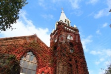 대구제일교회, 교회, 가을, 단풍, 덩쿨, 사진,이미지,일러스트,캘리그라피 - JYONGP작가 크라우드픽 - 저작권 걱정 없는 상업용 이미지