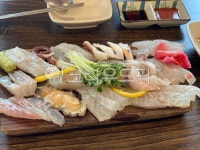 문어회, 전복회, 광어회, 회, 음식, 사진,이미지,일러스트,캘리그라피 - Jin417작가 크라우드픽 - 저작권 걱정 없는 상업용 이미지