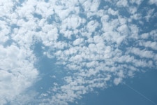 구름, 하늘, 뭉게구름, 솜사탕, 하늘색, 사진,이미지,일러스트,캘리그라피 - 호크아이작가 크라우드픽 - 저작권 걱정 없는 상업용 이미지