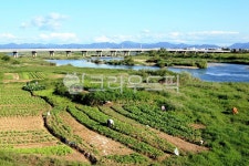 필드, field, 농장, farm, 시골, 사진,이미지,일러스트,캘리그라피 - irum작가 크라우드픽 - 저작권 걱정 없는 상업용 이미지