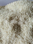 grain, 곡물, 쌀, rice, 생쌀, 사진,이미지,일러스트,캘리그라피 - 달려라곰작가 크라우드픽 - 저작권 걱정 없는 상업용 이미지