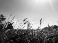 제주도, 제주, 갈대, reed, 오름, 사진,이미지,일러스트,캘리그라피 - Ncooan66작가 크라우드픽 - 저작권 걱정 없는 상업용 이미지