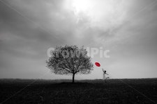 나무, 흑백, 우산, 혼자, 왕따나무, 사진,이미지,일러스트,캘리그라피 - NMegi작가 크라우드픽 - 저작권 걱정 없는 상업용 이미지