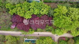 인천중앙공원, 공원, 도로, 옥외, 도시, 사진,이미지,일러스트,캘리그라피 - bsjv작가 크라우드픽 - 저작권 걱정 없는 상업용 이미지