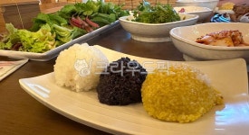 찰밥, 흑미밥, 조밥, 곡물, 쌀밥, 사진,이미지,일러스트,캘리그라피 - 애롱작가 크라우드픽 - 저작권 걱정 없는 상업용 이미지
