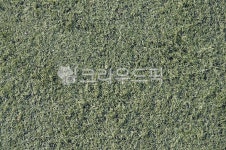 바닥, 운동장, 인조잔디, 운동장바닥, 축구장, 사진,이미지,일러스트,캘리그라피 - eatfood7작가 크라우드픽 - 저작권 걱정 없는 상업용 이미지