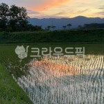 자연, 농장, farm, nature, vegetation, 사진,이미지,일러스트,캘리그라피 - dkl46작가 크라우드픽 - 저작권 걱정 없는 상업용 이미지